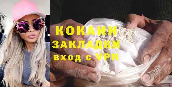 крисы Алзамай