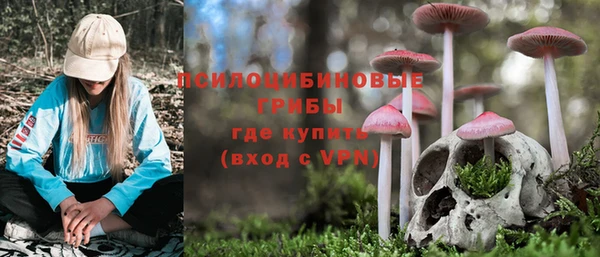 крисы Алзамай