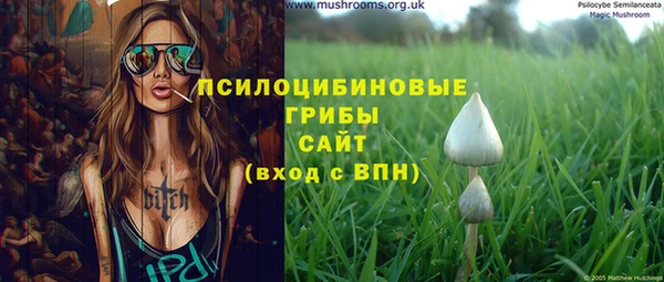 крисы Алзамай
