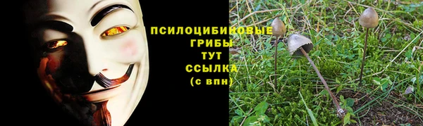 mdpv Алексеевка