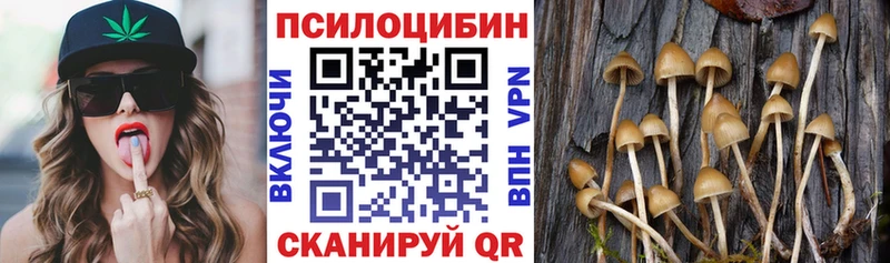 Псилоцибиновые грибы GOLDEN TEACHER  Купить закладки  Вязьма 